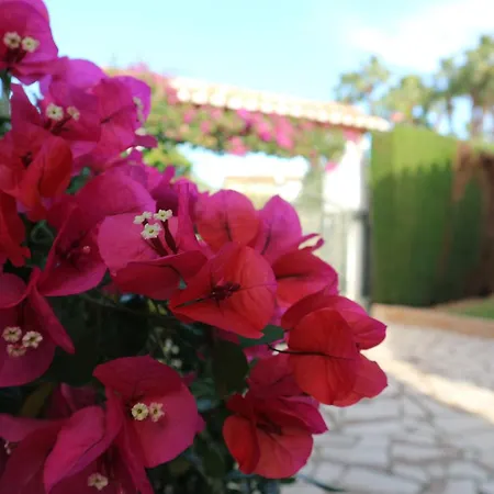 Gabriela By Family Homes Villa *